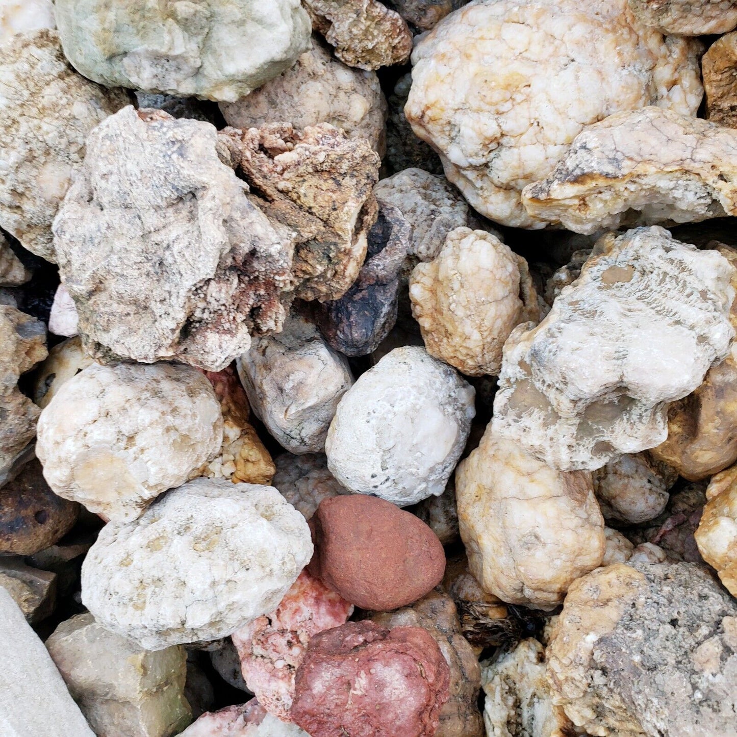 5 lbs Premium Kentucky Uncut Geodes Agates Nodules Lapidary Quartz Crystals Sale