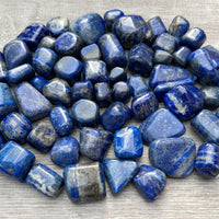 Grade A++ Lapis Lazuli Tumbled Stone, 0.65-1.5 Inch Lapis Crystal,Wholesale Bulk