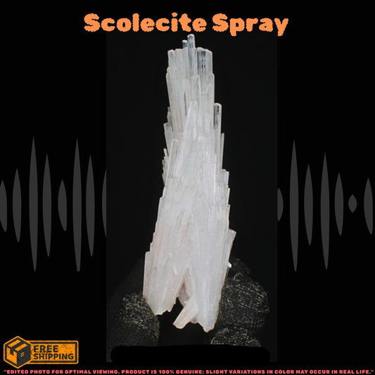 Natural Scolecite Cluster Crystal 54g White Zeolite Mineral from India