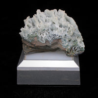 Rare Coral Chalcedony 108g Mineral Specimen India Zeolite Formation