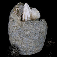 180g Scolecite Geode India Rare Needle Crystal Mineral Specimen