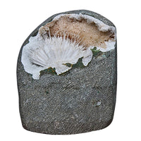 145g Scolecite Geode Radiating Crystal Mineral Specimen from India