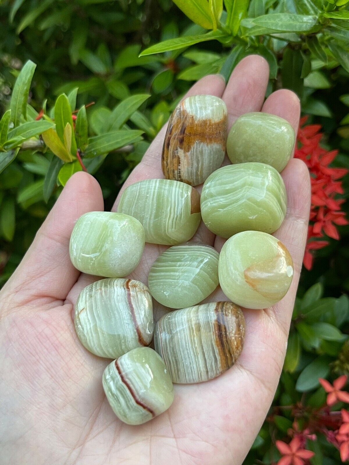 1/2 Lb Lot Tumbled Stones, 0.75-1.25" Crystal Healing Stones, Choose Stone Type