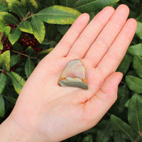 1 x Tumbled Stones : You Choose Type - Huge Range - ON SALE! (Crystal Healing)