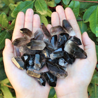 1/4 lb Bulk Lot Mixed Smokey & Quartz Crystal Natural Clear Points Smoky