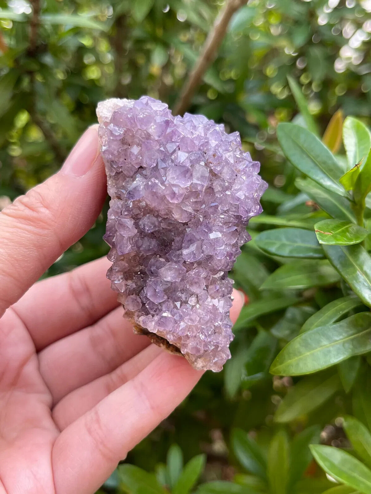 Grade A Amethyst Cluster, Amethyst Geode, Raw Amethyst Druze, Pick a Size