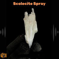 Natural Scolecite Cluster 12g Zeolite Mineral Specimen Spray Crystal India