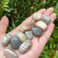 1/2 Lb Lot Tumbled Stones, 0.75-1.25" Crystal Healing Stones, Choose Stone Type