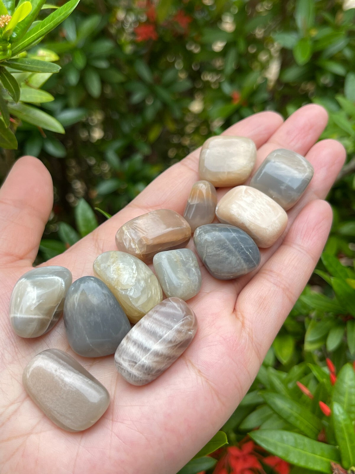 1/2 Lb Lot Tumbled Stones, 0.75-1.25" Crystal Healing Stones, Choose Stone Type