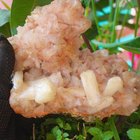 ✨ Natural Orange Stilbite & Heulandite Crystal Cluster 980g Reiki Healing Stone
