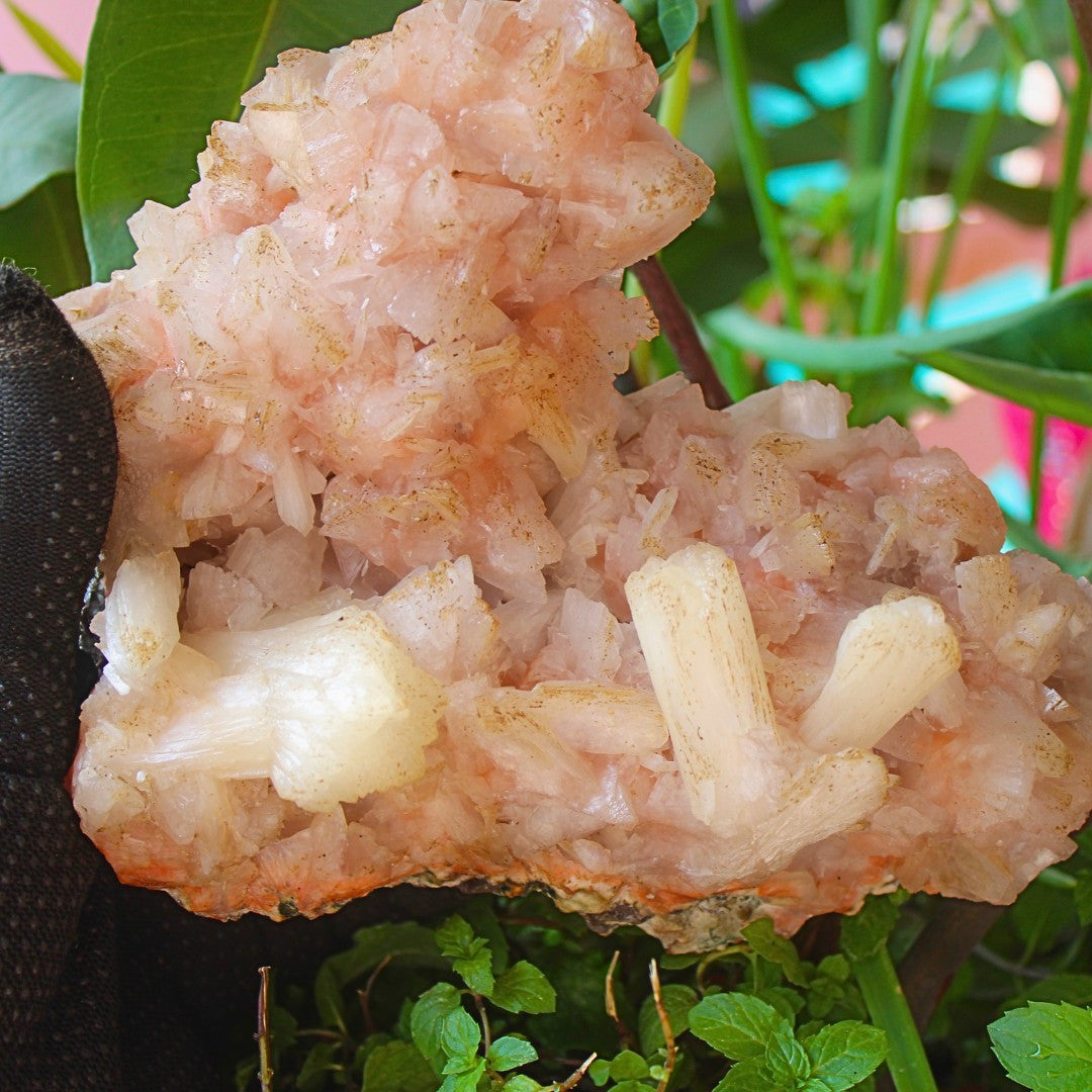 ✨ Natural Orange Stilbite & Heulandite Crystal Cluster 980g Reiki Healing Stone