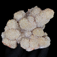 Coral Stone Specimen 410g | Ocean Energy Fossil for Grounding & Calm