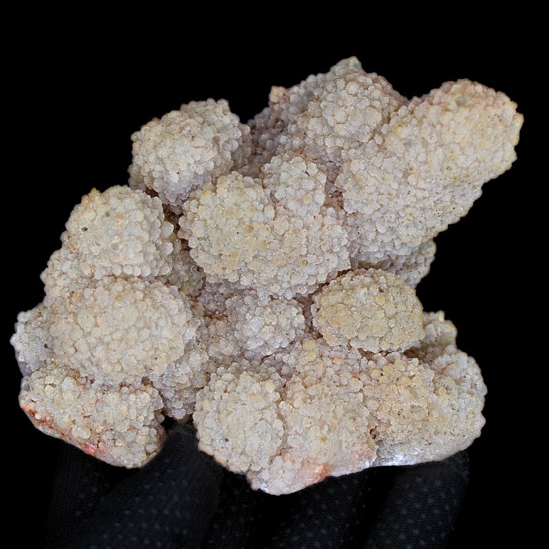 Coral Stone Specimen 410g | Ocean Energy Fossil for Grounding & Calm