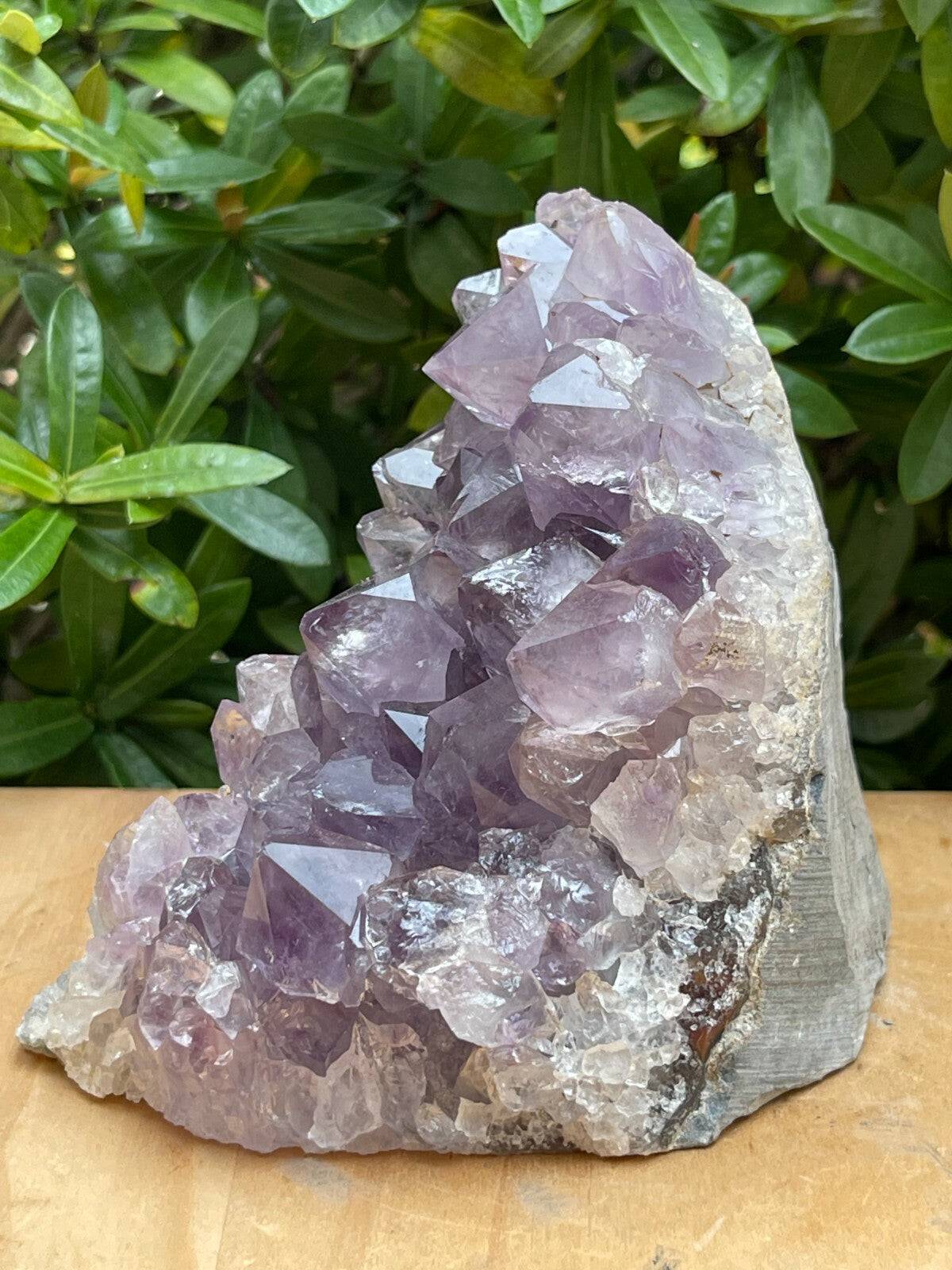 Uruguayan Amethyst Cluster, Grade B Amethyst Geode with Cut Base, Pick a Size