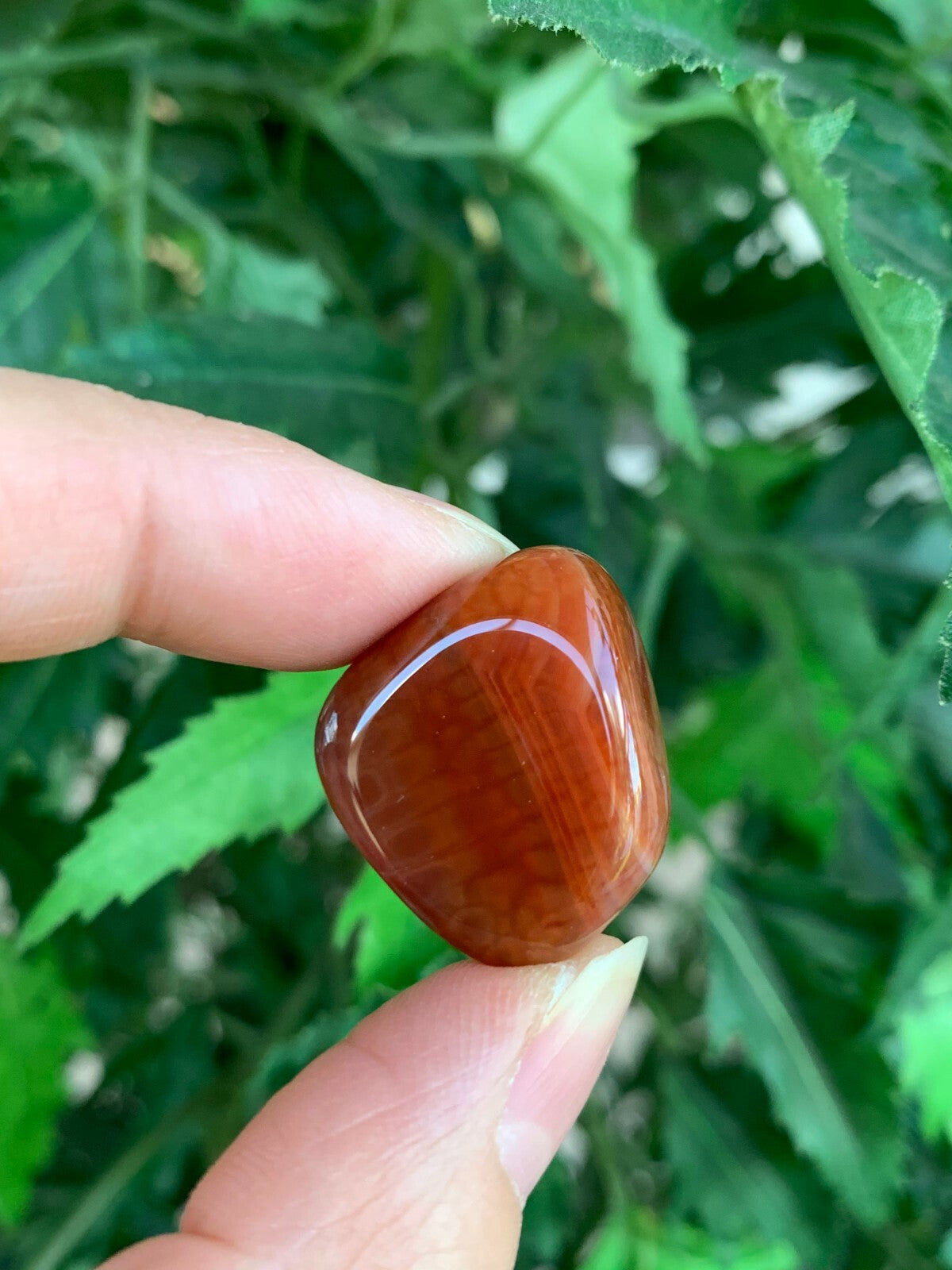 1/2 Lb Lot Tumbled Stones, 0.75-1.25" Crystal Healing Stones, Choose Stone Type