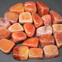 1/4 lb Tumbled Stones: U Choose Type - Wholesale Bulk 4 oz Lots