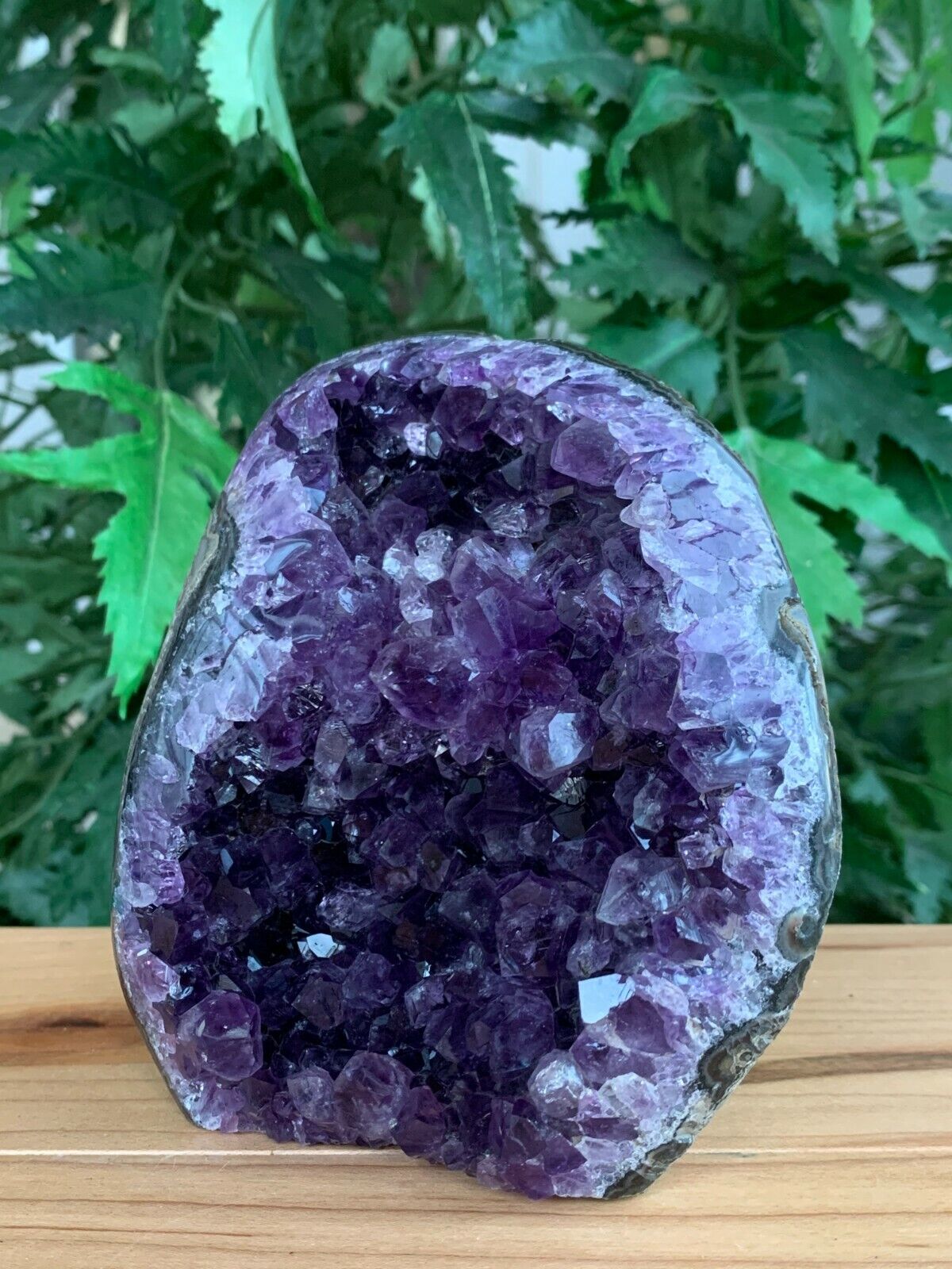 Finely Polished Uruguay Deep Purple Amethyst Cluster Crystal Geode, Pick a Size
