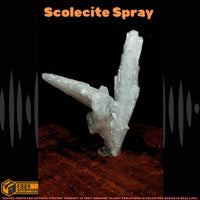 Rare 22g Scolecite Spray Crystal Zeolite Mineral Specimen from India