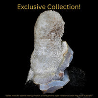 Rainbow Quartz 105g Chakra Healing Crystal Cluster Energy Stone India