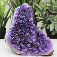 Stunning HUGE Amethyst Cut Base Cluster Crystal Quartz Geode 2 lb - 3 lb