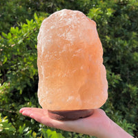 LARGE Natural Himalayan Salt Lamp, 8" Salt Rock Lamp + Chord/Bulb (Crystal Lamp)
