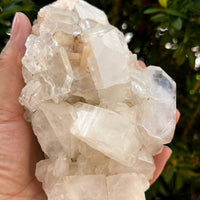 Apophyllite & Stilbite Crystal Cluster 3-8", Apophyllite Cluster with Inclusions