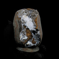 Rare Standing Scolecite Spray 680g Large Mineral Specimen Zeolite India