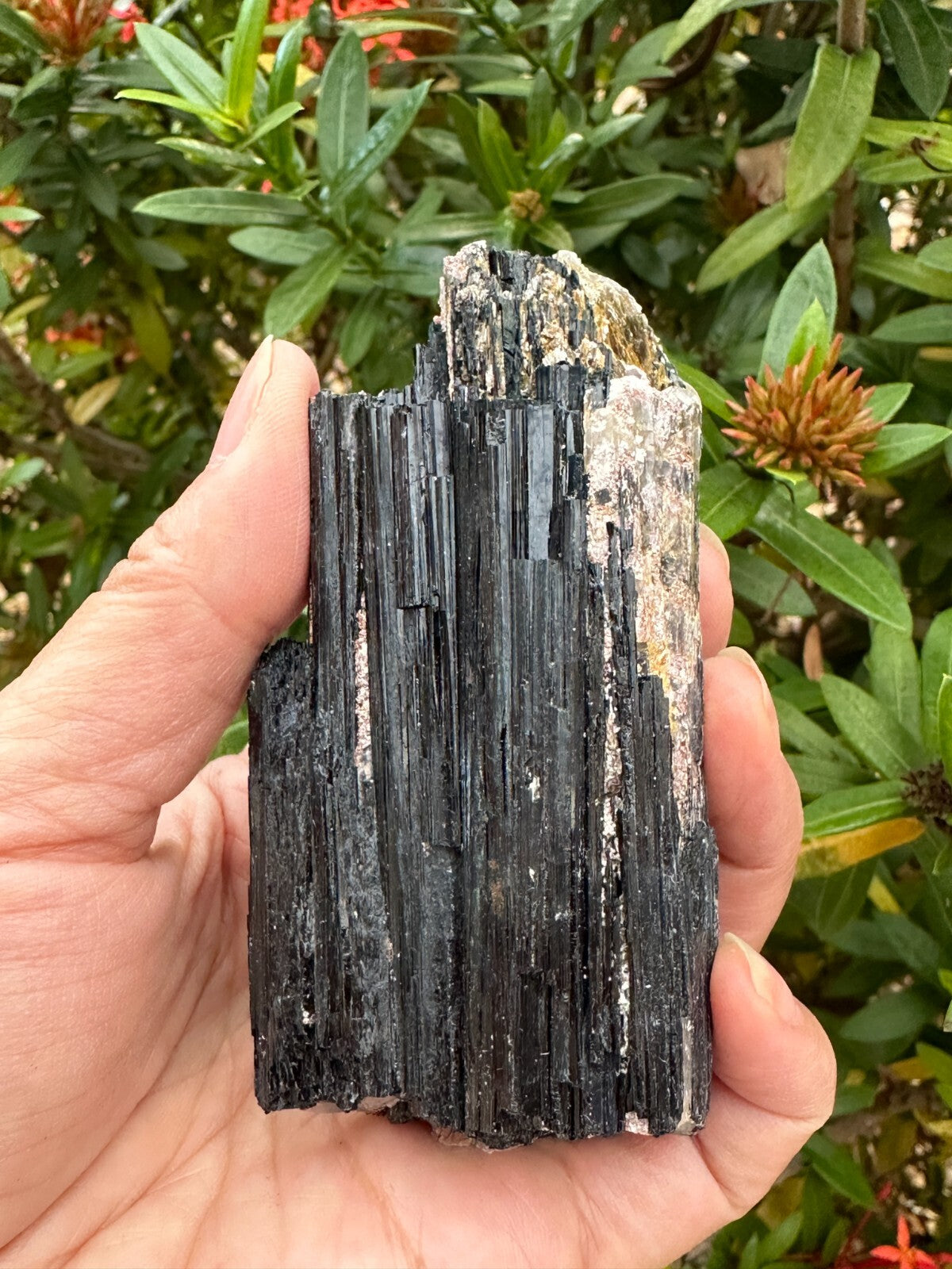 5 pcs Set Shiny Black Tourmaline Log, Grade A++ Natural Black Tourmaline Rod