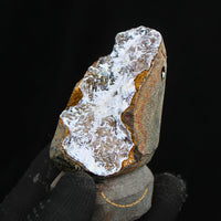 Rare 300g Scolecite Sprays in Heulandite Geode Mineral Specimen India