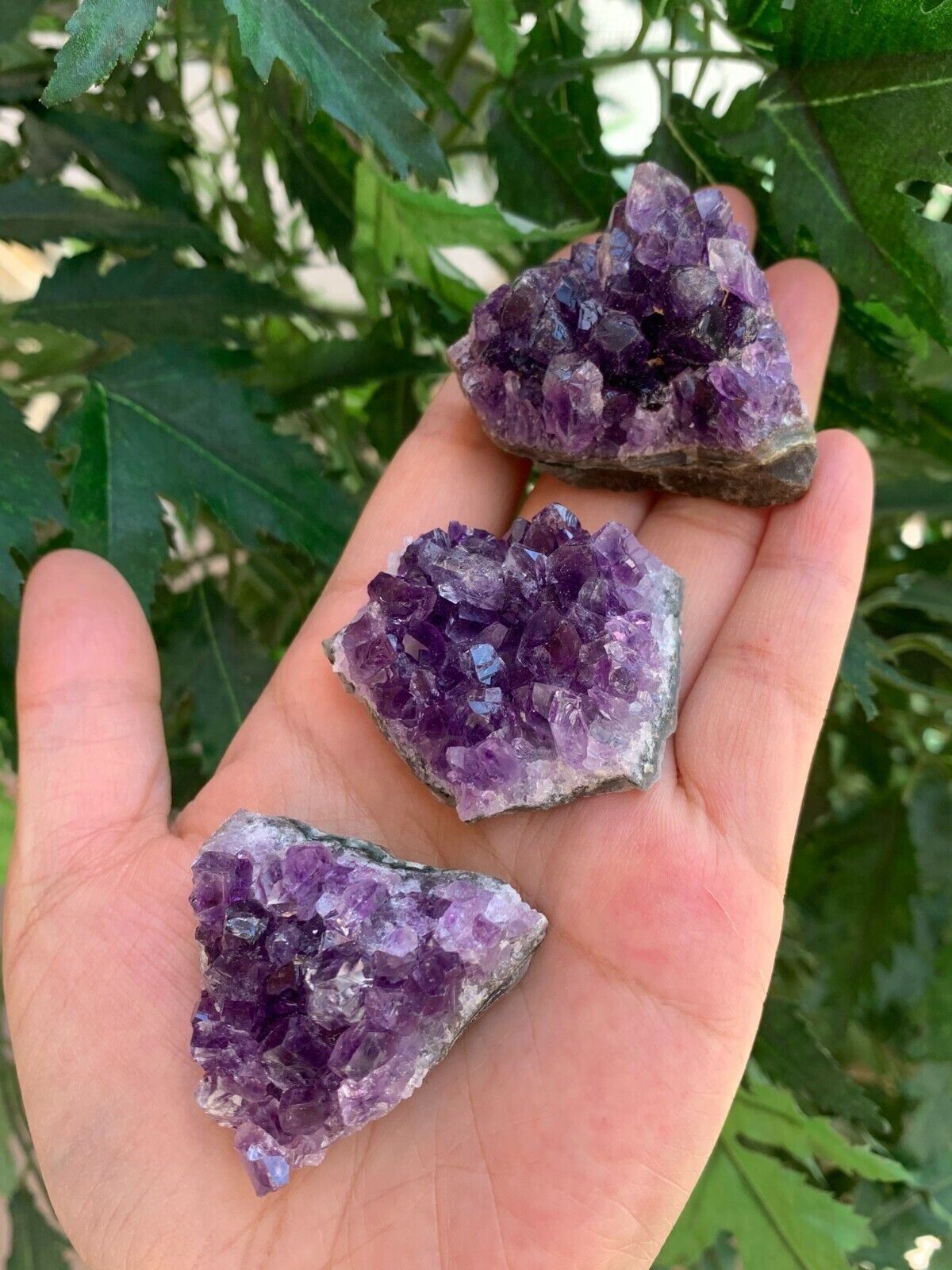 Deep Purple Amethyst Cluster From Uruguayan, Amethyst Geode, Raw Amethyst
