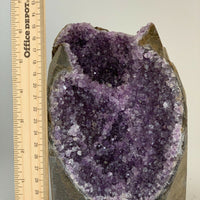 Amethyst Cluster, Amethyst Geode From Uruguay Cut Base, Pick a Size