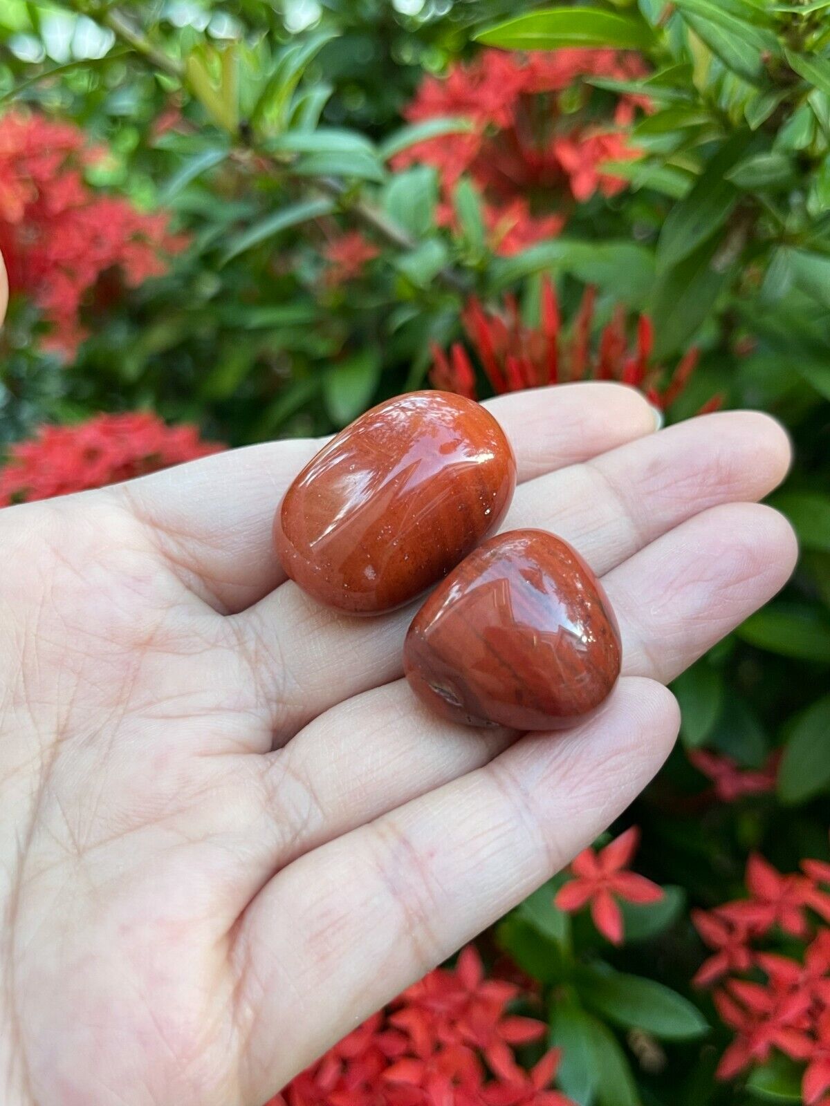 Grade A++ Red Jasper Tumbled Stones, 0.8"-1.25" Tumbled Red Jasper,Pick How Many