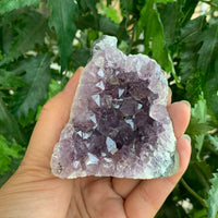 Amethyst Cluster, Amethyst Geode From Uruguay Cut Base, Pick a Size
