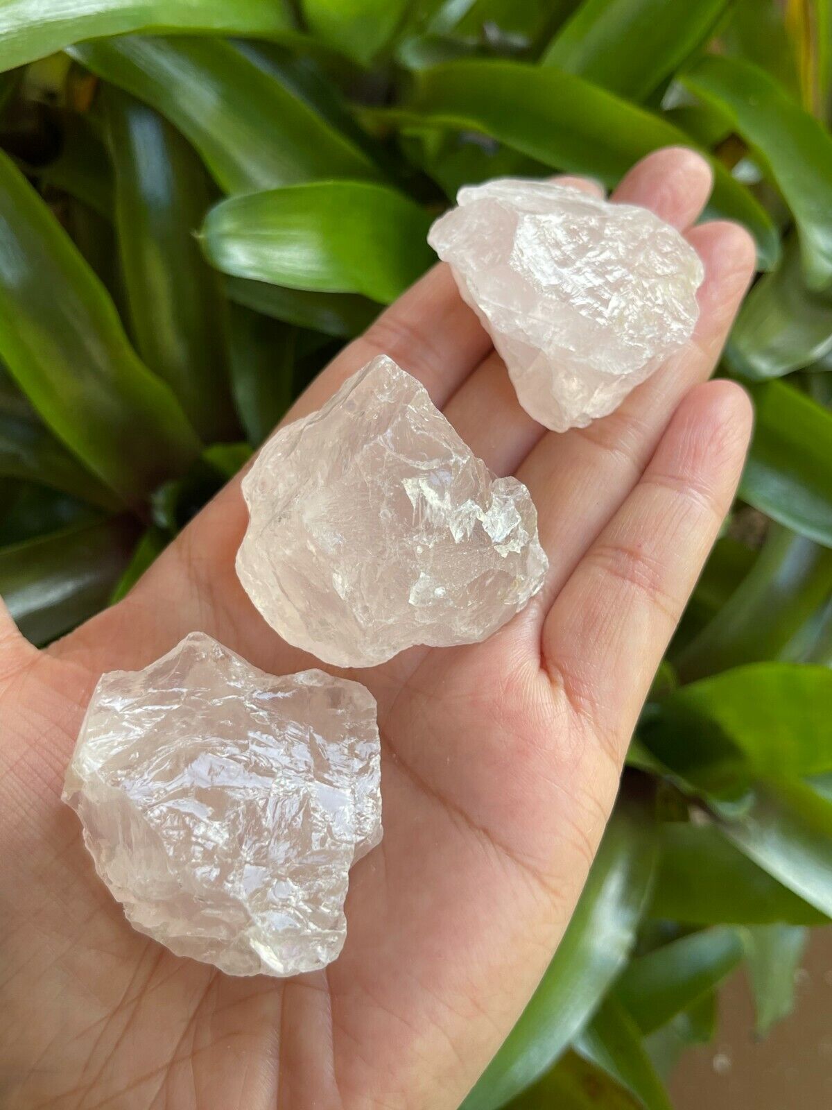 Natural Rough Rose Quartz Crystal Mineral, You Choose Amount