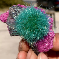 Dandelion Zeolite Quartz Crystal Cluster Mineral  Quartz Crystal Specimens Decor