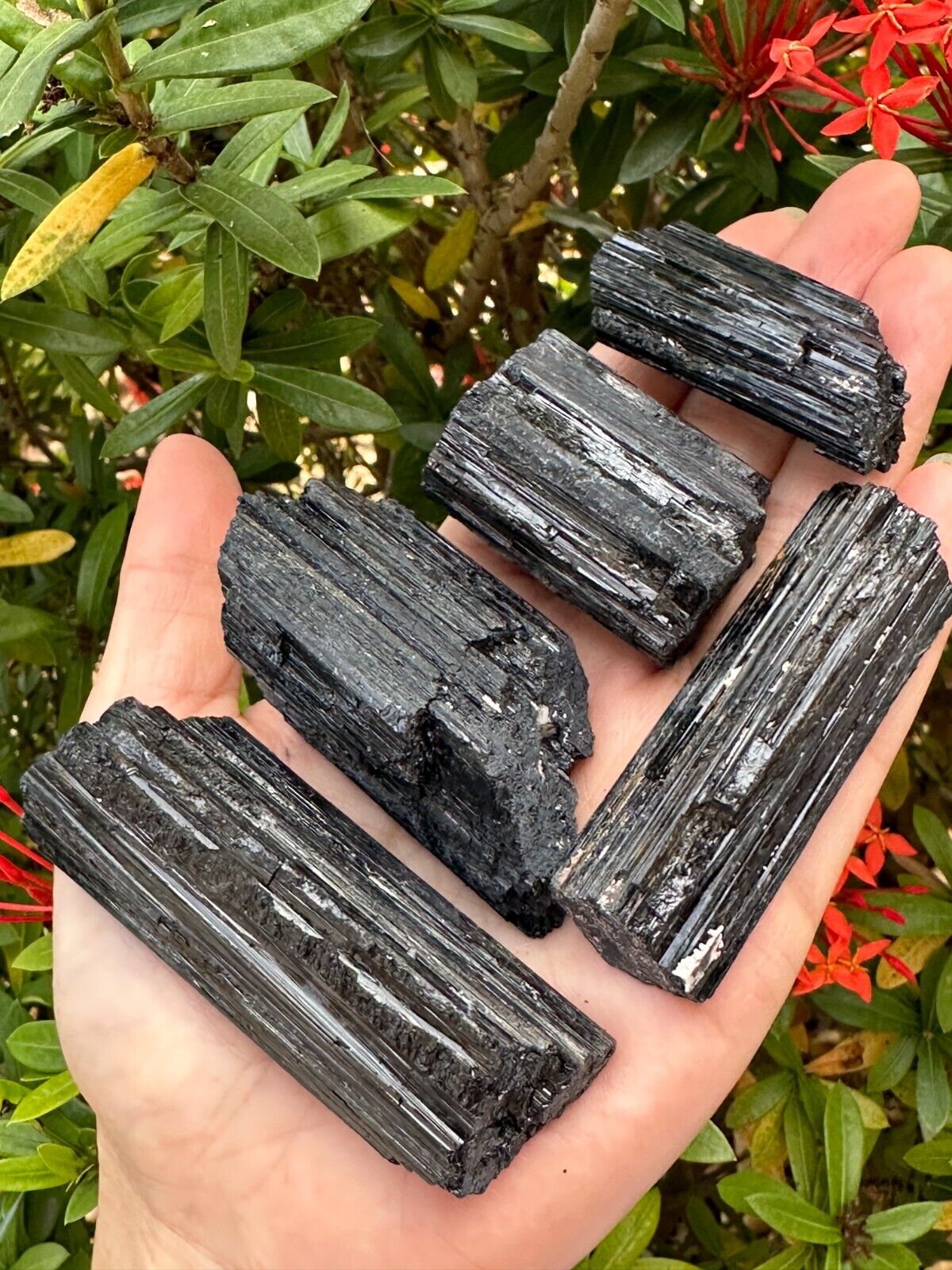 5 pcs Set Shiny Black Tourmaline Log, Grade A++ Natural Black Tourmaline Rod