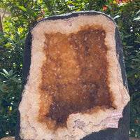 X-Large Citrine Cathedral, Citrine Geode, Honey Citrine Cluster, Pick a Weight