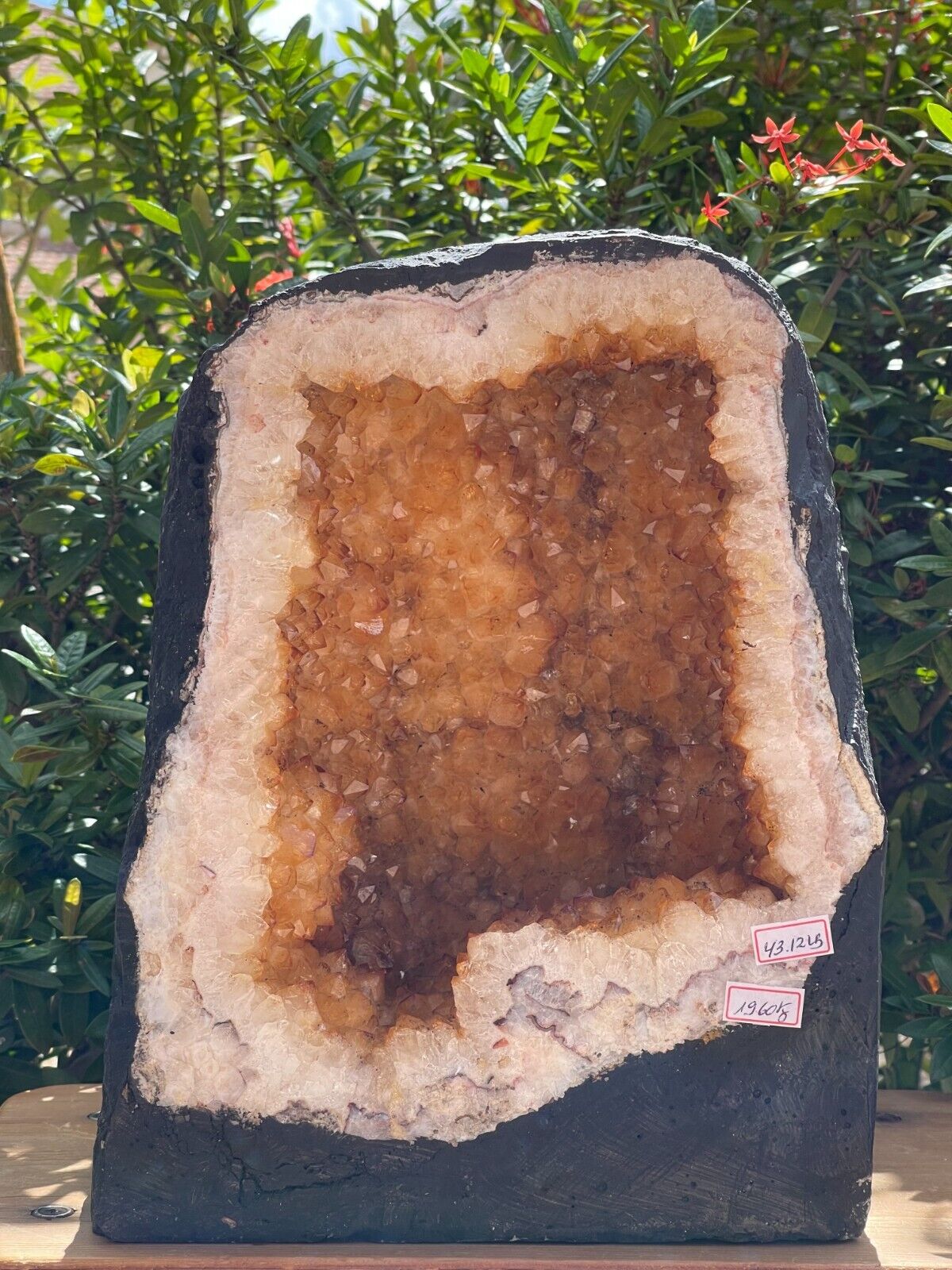 X-Large Citrine Cathedral, Citrine Geode, Honey Citrine Cluster, Pick a Weight