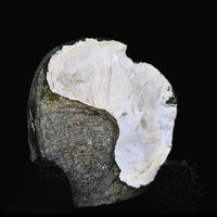 Stunning 120g Scolecite Spray Geode Rare Zeolite Mineral Specimen India