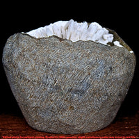 115g Scolecite Geode Natural Radiating Crystal Mineral India