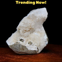 Scolecite Geode 60g 6x4cm Natural White Crystal for Meditation Healing