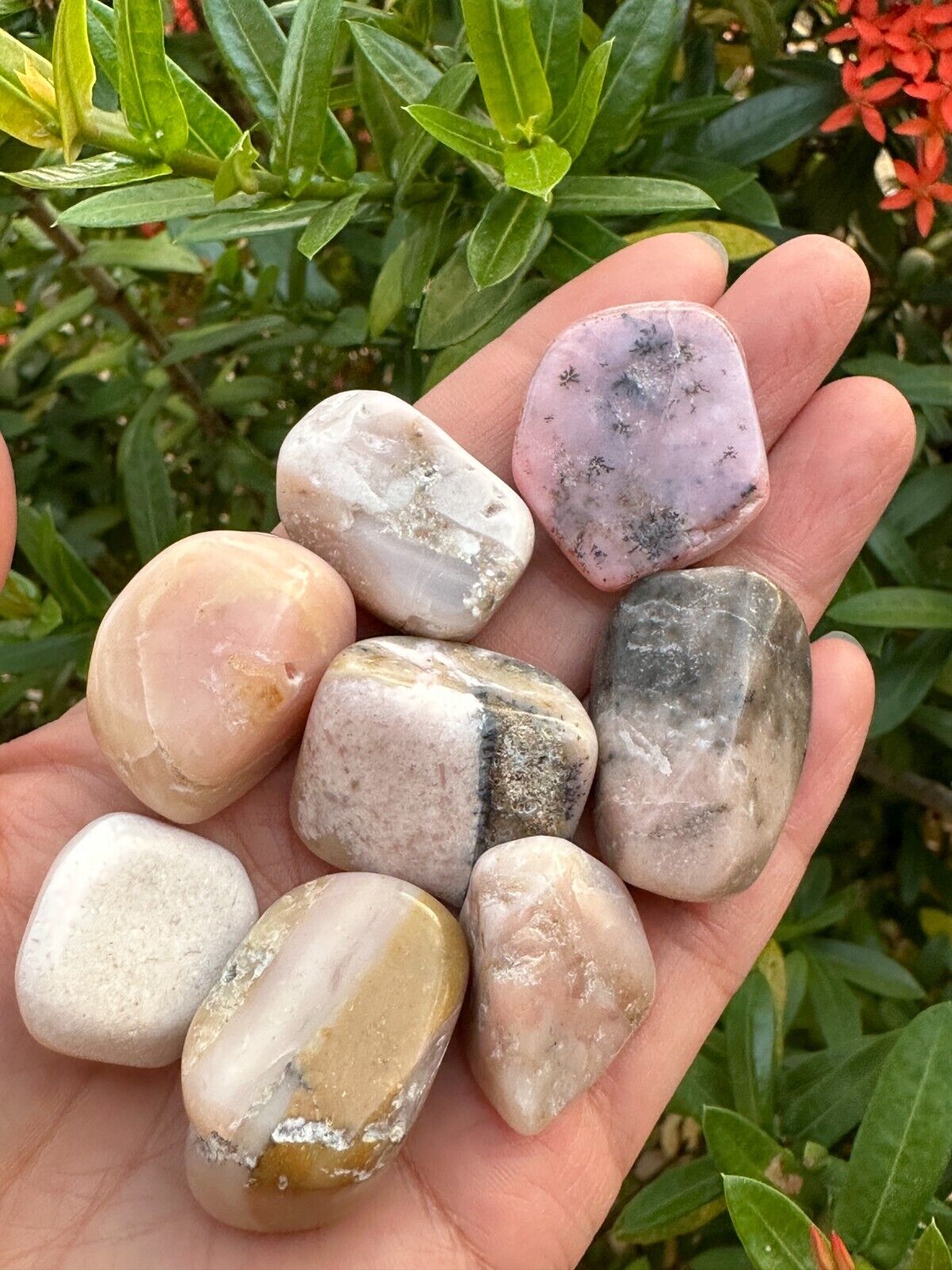 1/2 Lb Lot Tumbled Stones, 0.75-1.25" Crystal Healing Stones, Choose Stone Type