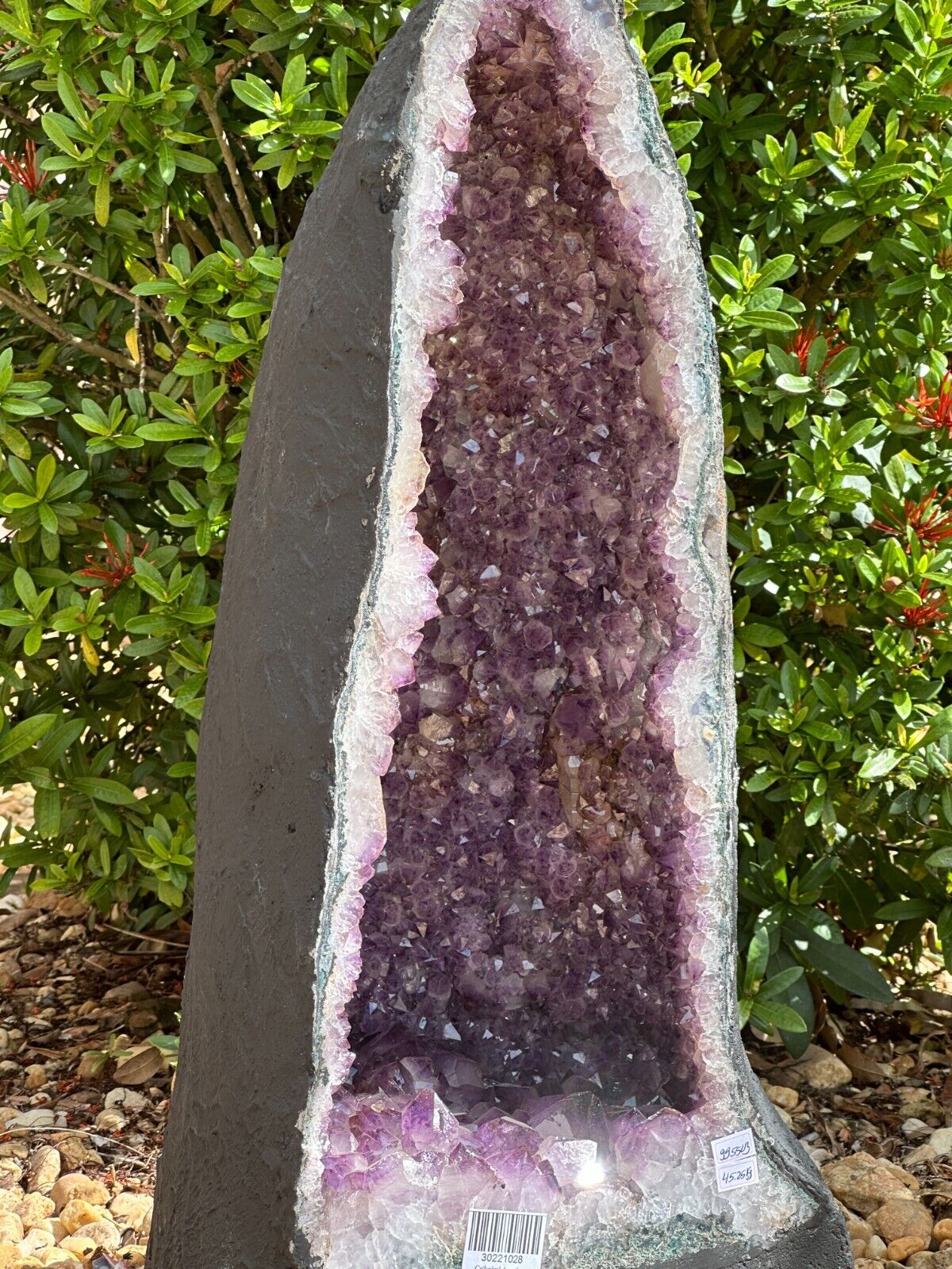 X-Large Amethyst Cathedral, Amethyst Geode,Raw Amethyst Cluster, Pick a Weight
