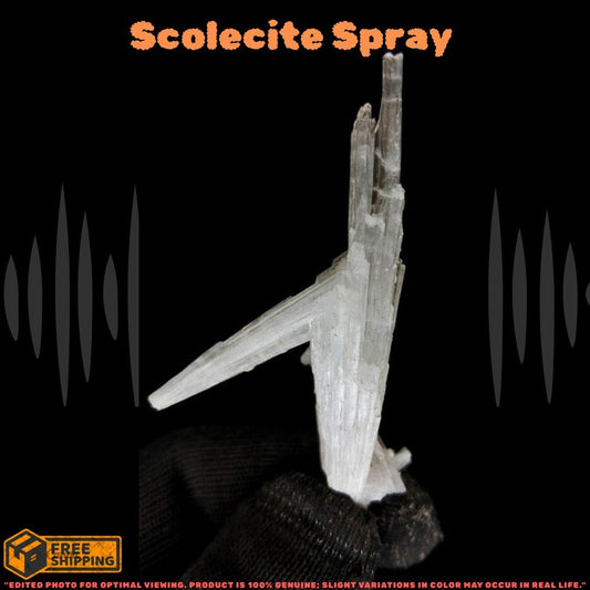 Natural Scolecite Crystal 10g White Zeolite Mineral from India