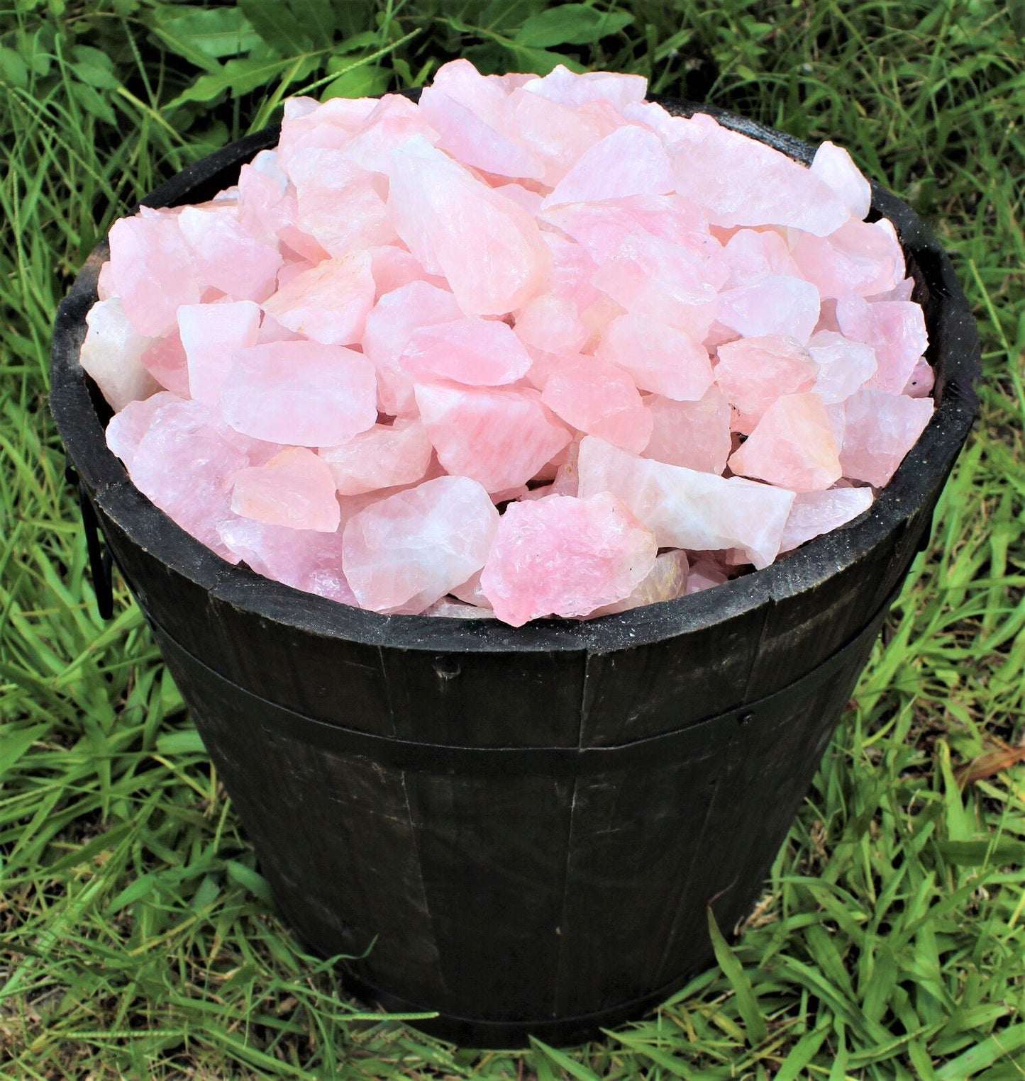 Single Large Rough Rose Quartz Crystal | 2"–3" Natural Raw Love Stone | Healing Specimen