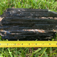 Extra Large Black Tourmaline Chunk / Rod / Log, Natural Rough Black Tourmaline