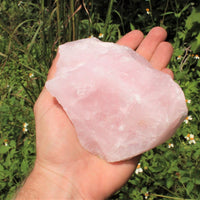 JUMBO Rose Quartz Raw Natural Crystal Specimen: 1 - 2 lb HUGE Chunk (Love Stone)
