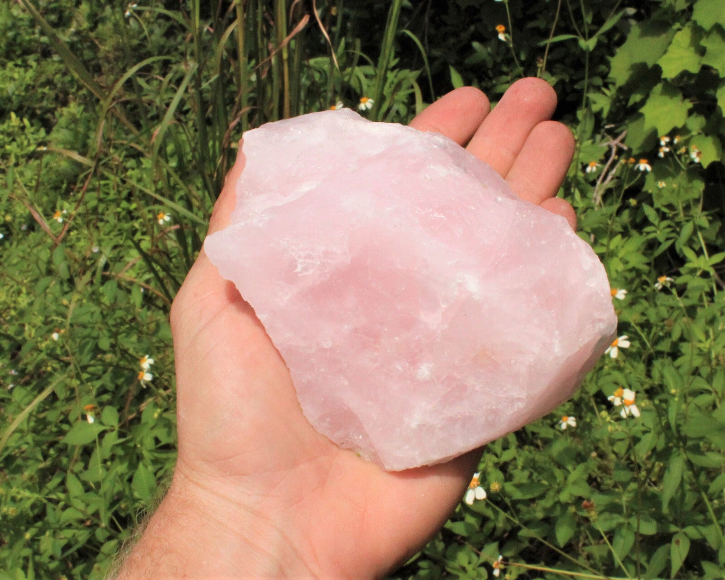 JUMBO Rose Quartz Raw Natural Crystal Specimen: 1 - 2 lb HUGE Chunk (Love Stone)