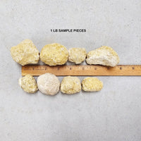 Break Your Own Geodes Unbroken Quartz Crystal Geode with Sparkly Crystals Inside