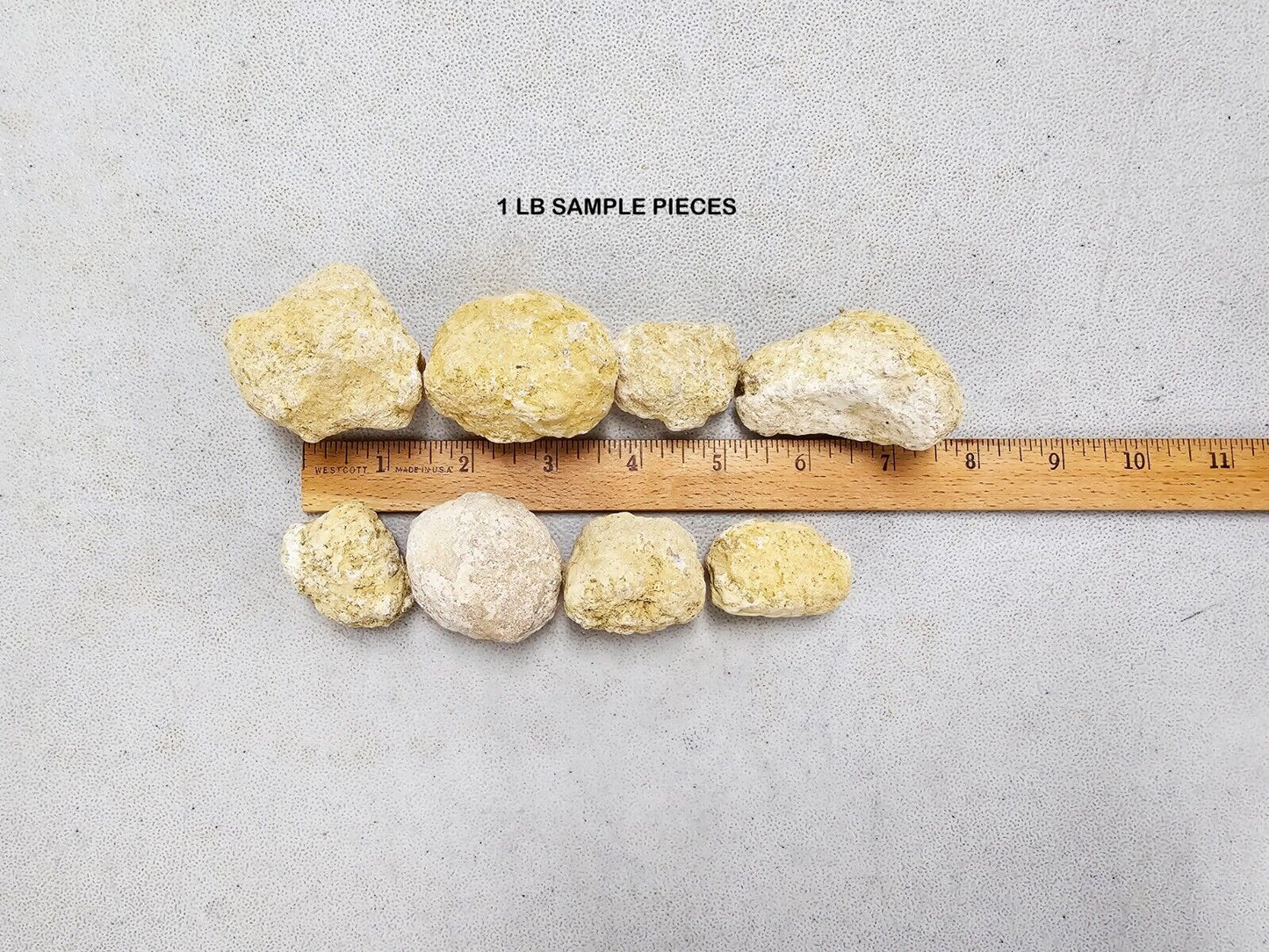 Break Your Own Geodes Unbroken Quartz Crystal Geode with Sparkly Crystals Inside